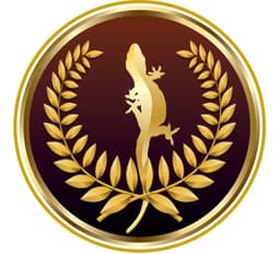 Cover art for Gold Standard Gecko Club Competition Event Daytona Florida 2025